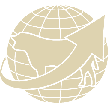 ILS图标